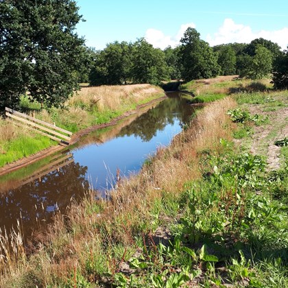 Foto wandelen Westerwolde